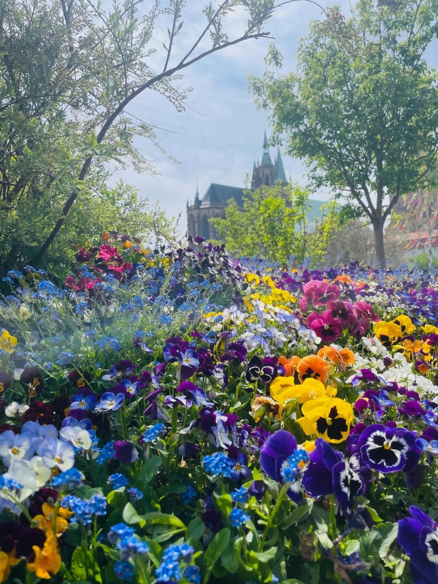 "Erfurt Geniessen"アパートメント エクステリア 写真